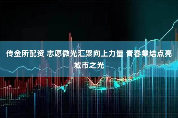 传金所配资 志愿微光汇聚向上力量 青春集结点亮城市之光